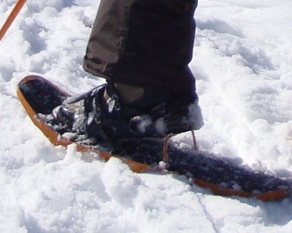  Equipo de raquetas de nieve 